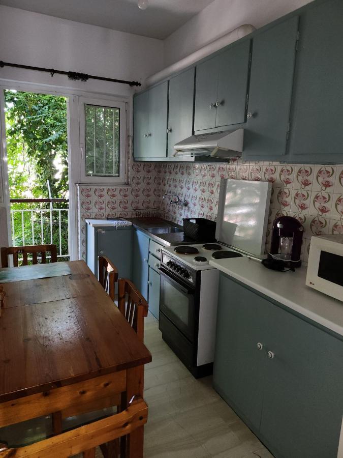 Center Apartment: Steps To Acropolis, Parthenon, And Ancient Agora Apartment Athens